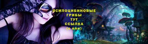 мяу мяу мука Арсеньев